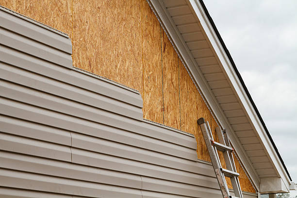 Professional Vinyl Siding technician working in Dolphin, VA